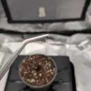 2nd grow