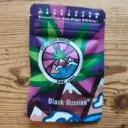 Black Russian Delicious Seeds