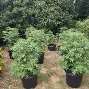 The Great Outdoors 2026 💚
