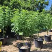 The Great Outdoors 2026 💚