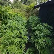 The Great Outdoors 2026 💚