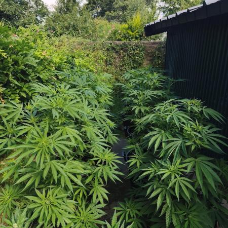The Great Outdoors 2026 💚