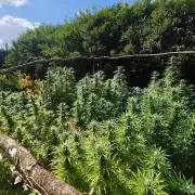 The Great Outdoors 2026 💚