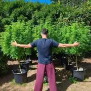 The Great Outdoors 2026 💚