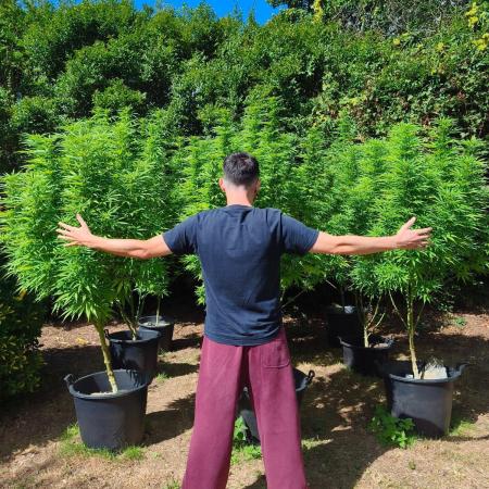 The Great Outdoors 2026 💚