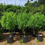 The Great Outdoors 2026 💚