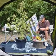 Fast buds outdoor competition 2026 🌱