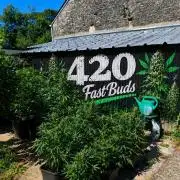 Fast buds outdoor competition 2026 🌱