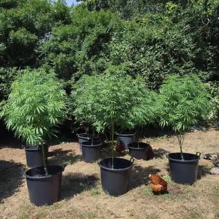 The Great Outdoors 2026 💚