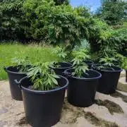 The Great Outdoors 2026 💚