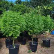 The Great Outdoors 2026 💚