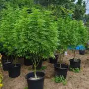 The Great Outdoors 2026 💚