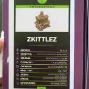 Primeiro ciclo dwc 60x60