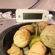 Primeiro ciclo dwc 60x60