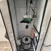 Primeiro ciclo dwc 60x60