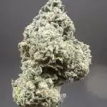Rainbow Belts clone #4 