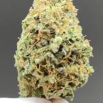Cream Caramel ( Sweet Seeds ) 