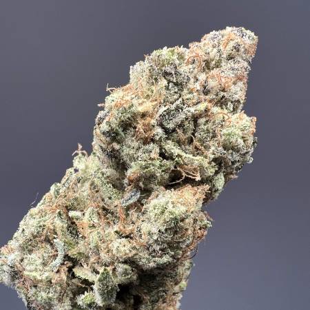 Hippie Therapy CBD ( Exotic Seeds ) 