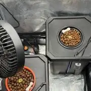 Fast buds RF3 mix