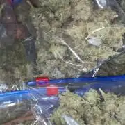 Strawberry Stardawg / Wedding Sunset