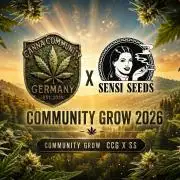 Sensi Seeds Project