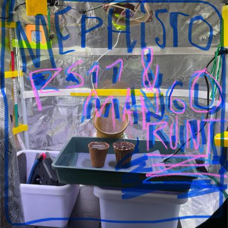 MephistoRun_AinAgainstTwo