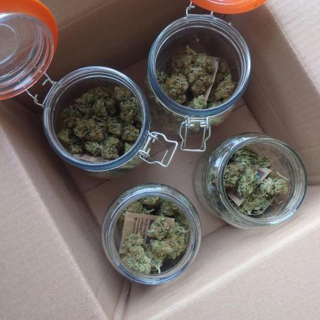 First indoor grow - Afghan Kush Auto