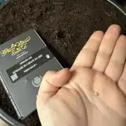 G4.2.26 - GHSC Skywalker