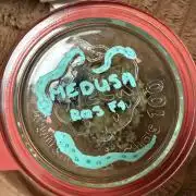 G2.1.26