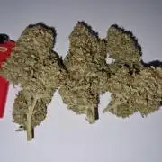 Zkittlez and Tropicana Cookies