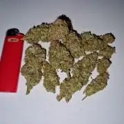 Zkittlez and Tropicana Cookies