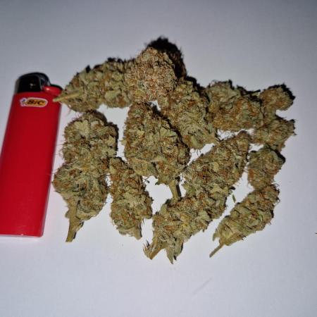 Zkittlez and Tropicana Cookies