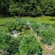 Outdoor organic 2026.