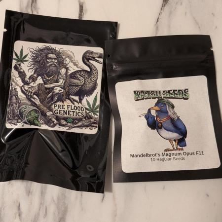 Pheno hunt for outdoor 2026