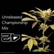 Unreleased Championship Mix