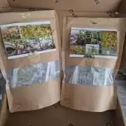 Living Soil Cup '26