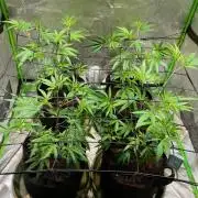 Southern Sunset from Kaprikorn