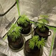 Southern Sunset from Kaprikorn