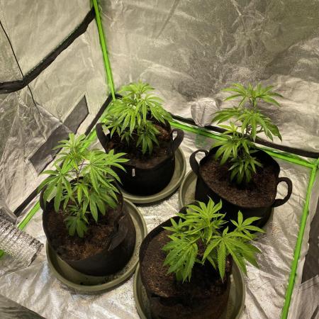 Southern Sunset from Kaprikorn