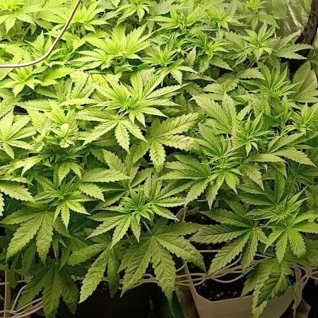 Tras 20 años de retiro, vuelvo a nacer