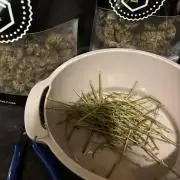 Northern Lights Auto Doc 🌱
