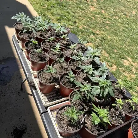Outdoor In-Ground 2026