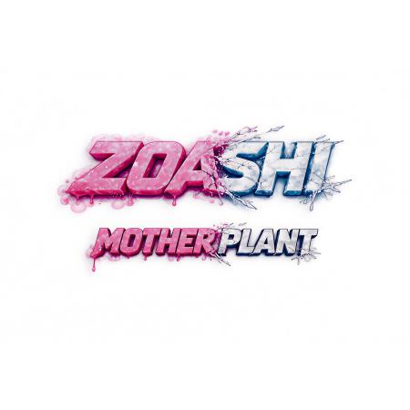 ZOASHI 🌈🫧 (Mother Plant)