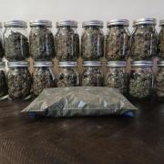All Gas OG w/ MIGRO ARAY 250S Grow #2