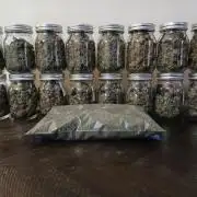 All Gas OG w/ MIGRO ARAY 250S Grow #2