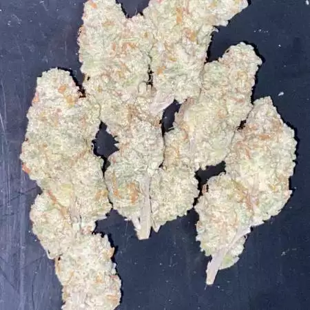 End Game Punch line ! DWC