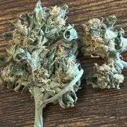 White LSD