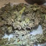 Gelato auto