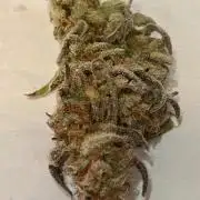 Gelato auto