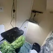 Gelato auto